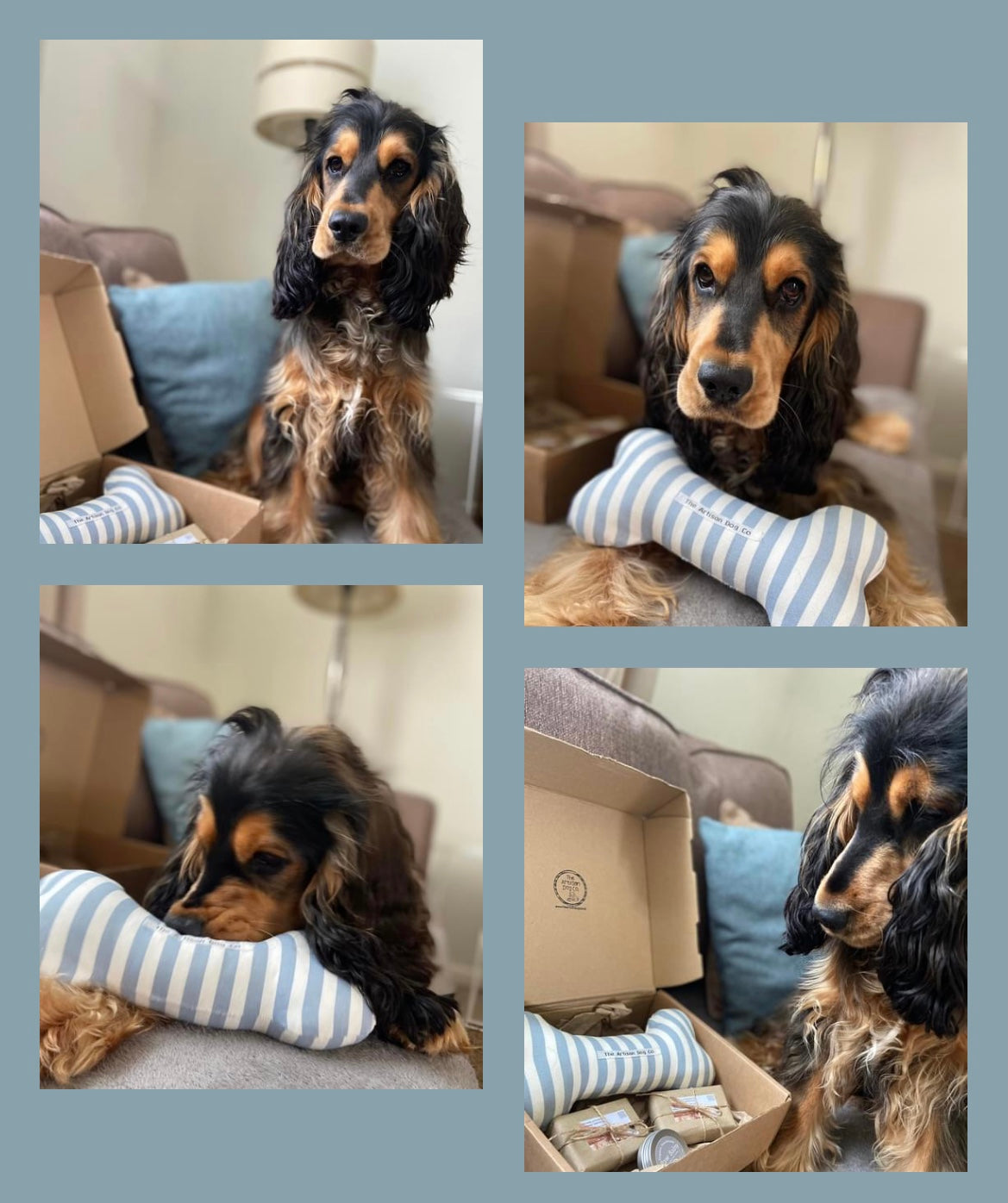 Dogs Pampering/Grooming Gift Set - Choice of Fabrics for Toy Bone