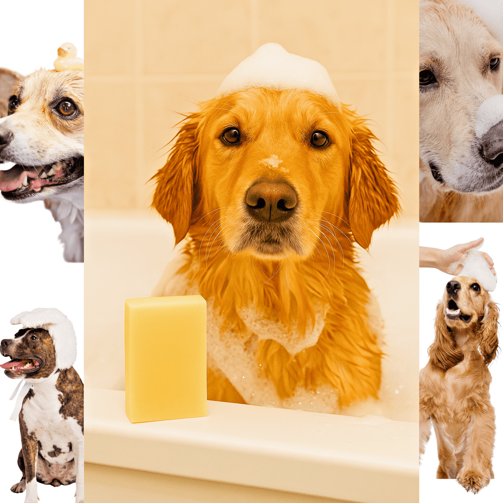 Dog Shampoo Bar Neem & Lemongrass Huge 200g Natural Dog Soap Vegan Grooming UK